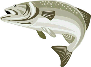 Logo-Fischereiverein
